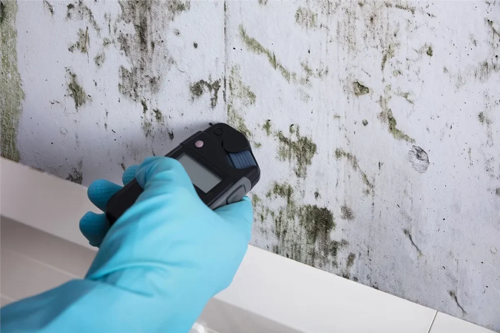 Can mold be a hidden fault