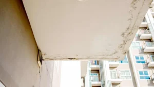 Limitation period for hidden defects in property